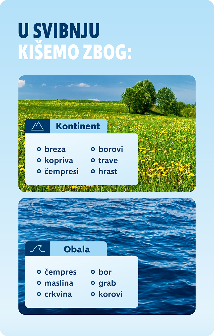 alergy calendar